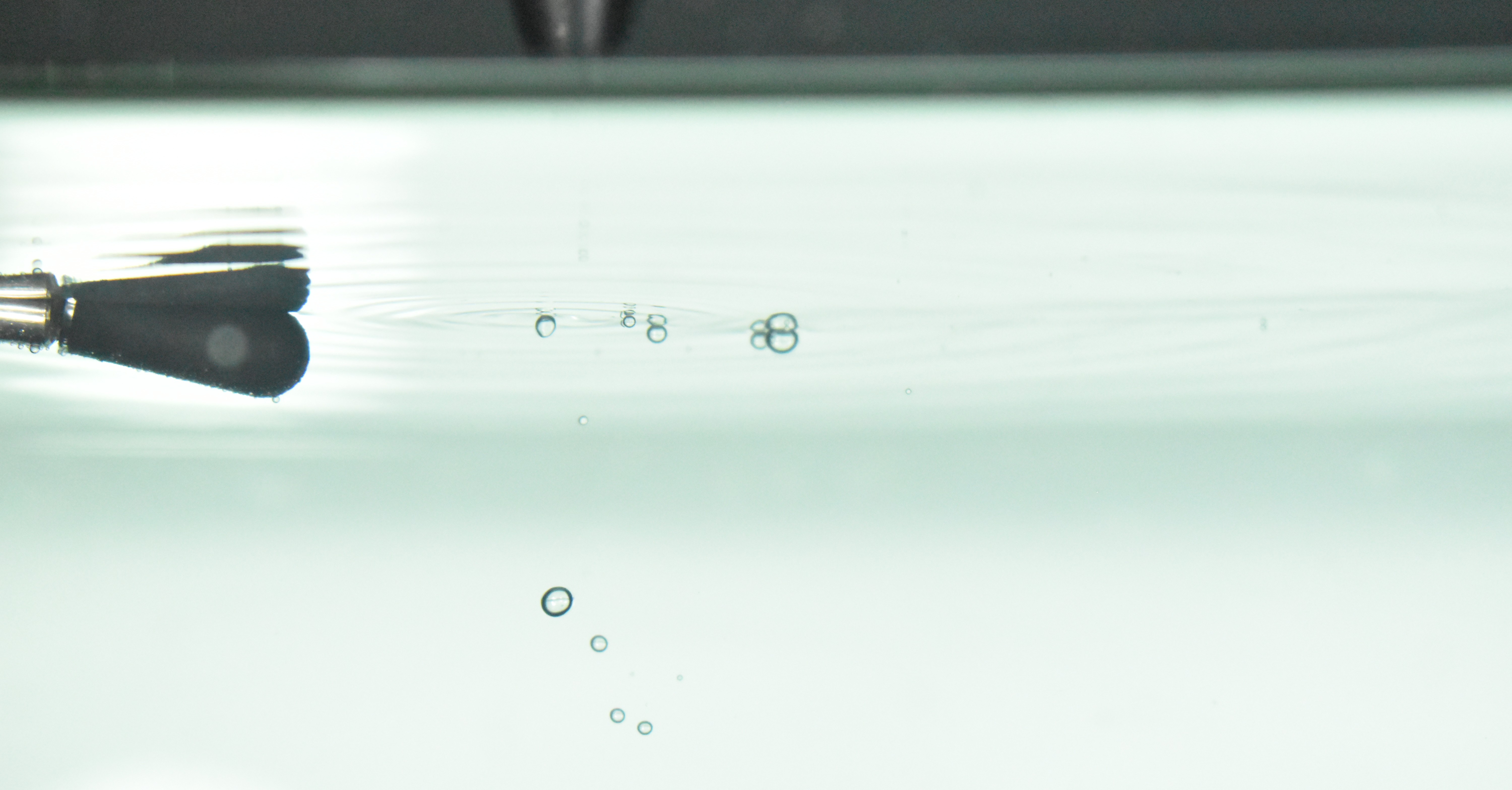Individual bubbles rising to teh water's surface within a tank. the hydrohphone is to the ledt of teh bubble, submerged in the water.